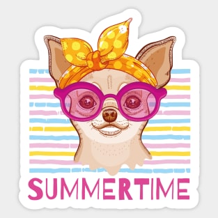 Chihuahua Summer time Sticker